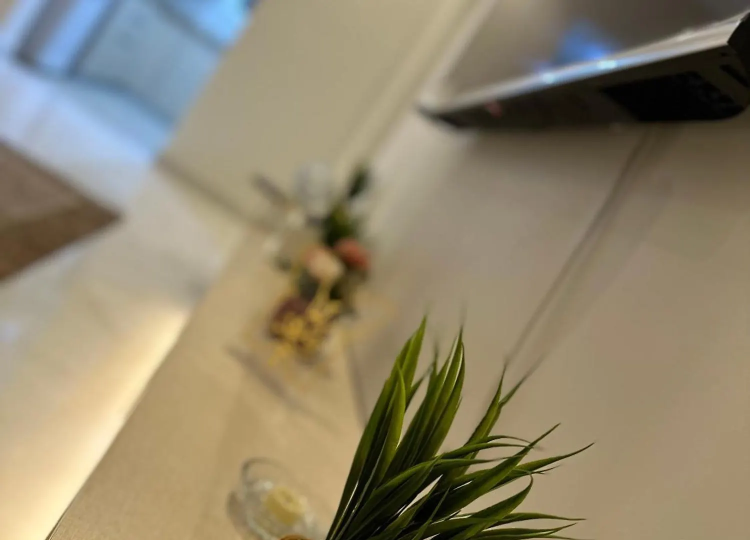 Roma House Daire Medine